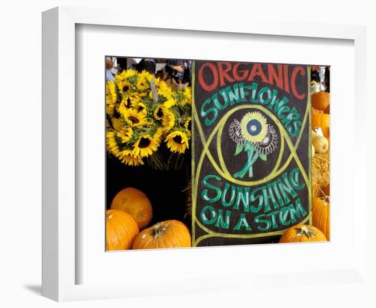 Organic Sunflowers and Pumpkins, Ferry Building Farmer's Market, San Francisco, California, USA-Inger Hogstrom-Framed Photographic Print