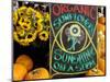 Organic Sunflowers and Pumpkins, Ferry Building Farmer's Market, San Francisco, California, USA-Inger Hogstrom-Mounted Photographic Print