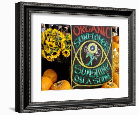 Organic Sunflowers and Pumpkins, Ferry Building Farmer's Market, San Francisco, California, USA-Inger Hogstrom-Framed Photographic Print