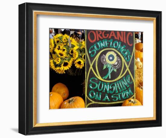Organic Sunflowers and Pumpkins, Ferry Building Farmer's Market, San Francisco, California, USA-Inger Hogstrom-Framed Photographic Print