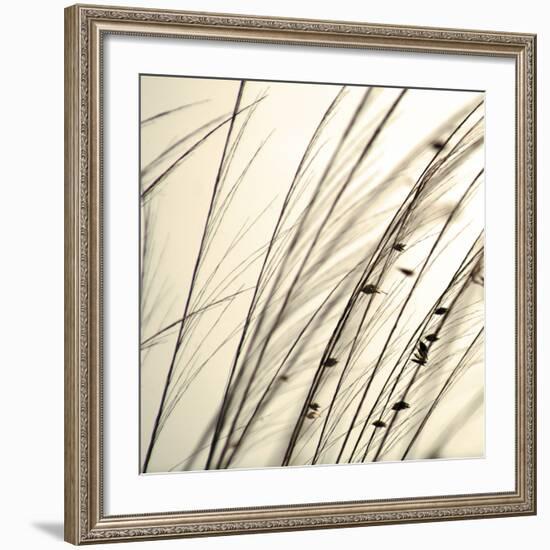 Organic Taupe I-Tony Koukos-Framed Art Print