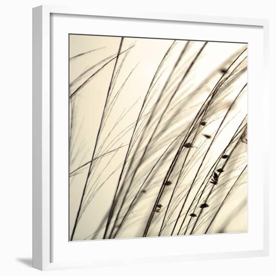 Organic Taupe I-Tony Koukos-Framed Art Print