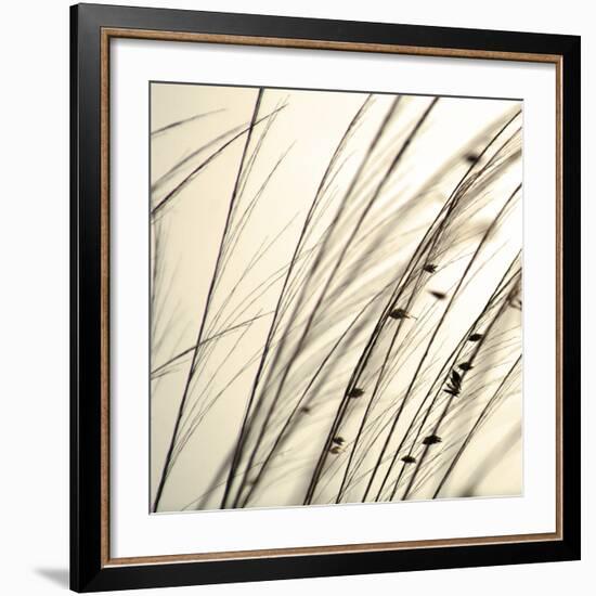 Organic Taupe I-Tony Koukos-Framed Art Print