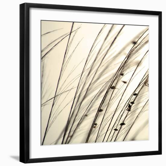 Organic Taupe I-Tony Koukos-Framed Art Print