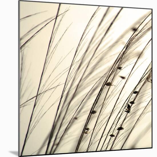 Organic Taupe I-Tony Koukos-Mounted Art Print