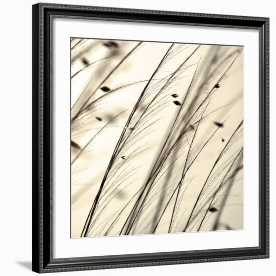 Organic Taupe II-Tony Koukos-Framed Art Print