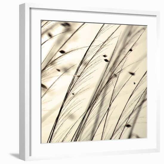 Organic Taupe II-Tony Koukos-Framed Art Print