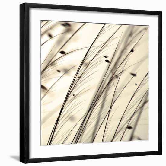 Organic Taupe II-Tony Koukos-Framed Art Print