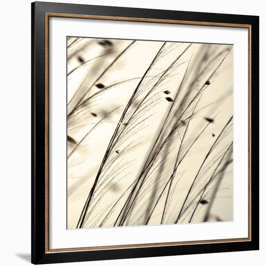 Organic Taupe II-Tony Koukos-Framed Art Print