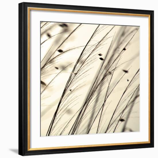 Organic Taupe II-Tony Koukos-Framed Art Print