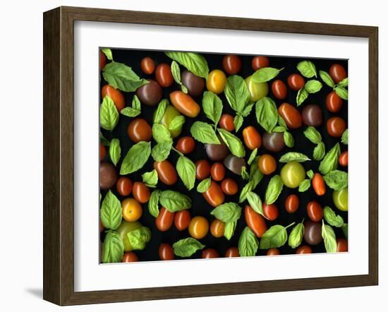 Organic Tomatoes and Basil Isolated-Christian Slanec-Framed Photographic Print