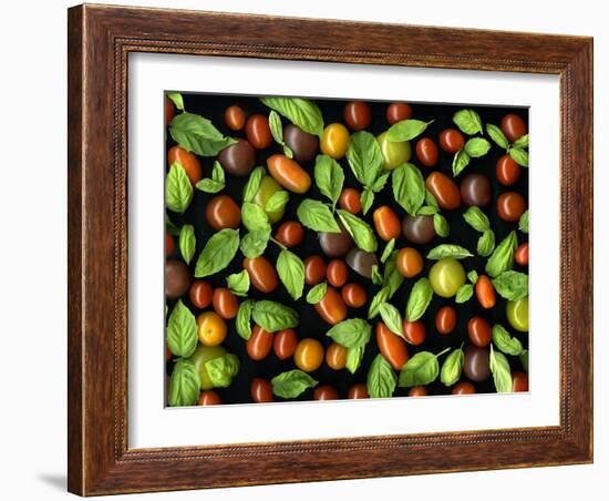 Organic Tomatoes and Basil Isolated-Christian Slanec-Framed Photographic Print