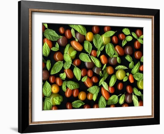 Organic Tomatoes and Basil Isolated-Christian Slanec-Framed Photographic Print