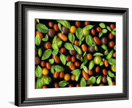 Organic Tomatoes and Basil Isolated-Christian Slanec-Framed Photographic Print