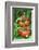 Organic Tomatoes on the Plant-Nico Tondini-Framed Photographic Print