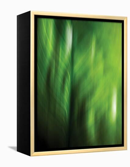 Organic V-Andrew Michaels-Framed Premier Image Canvas