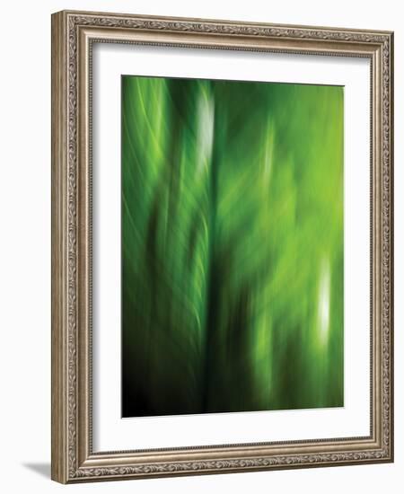 Organic V-Andrew Michaels-Framed Photographic Print