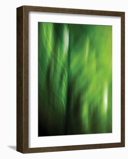 Organic V-Andrew Michaels-Framed Photographic Print