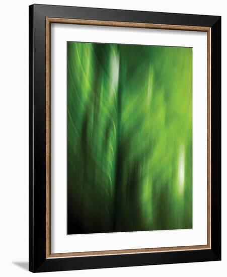 Organic V-Andrew Michaels-Framed Photographic Print