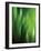 Organic V-Andrew Michaels-Framed Photographic Print