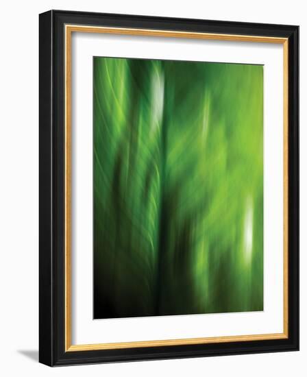 Organic V-Andrew Michaels-Framed Photographic Print