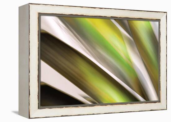 Organic VI-Andrew Michaels-Framed Premier Image Canvas