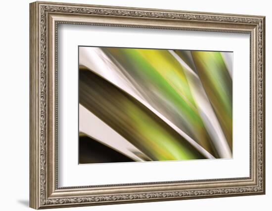 Organic VI-Andrew Michaels-Framed Photographic Print