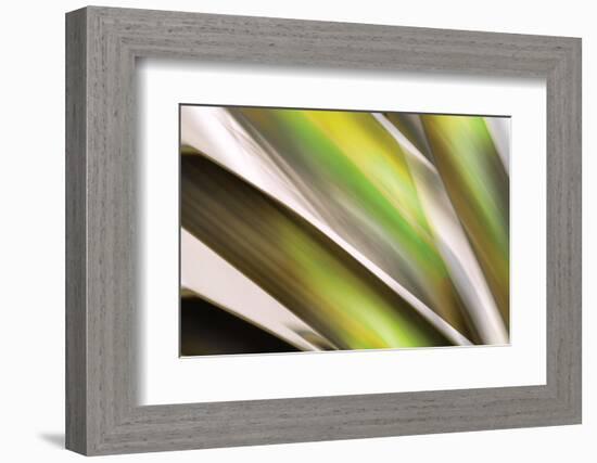 Organic VI-Andrew Michaels-Framed Photographic Print