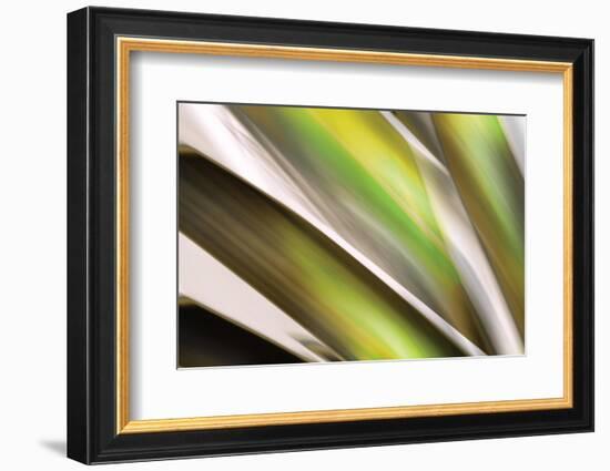 Organic VI-Andrew Michaels-Framed Photographic Print