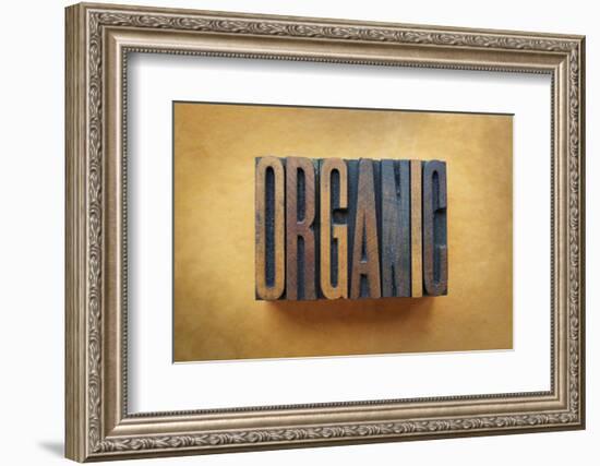 Organic-enterlinedesign-Framed Photographic Print