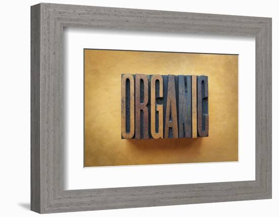 Organic-enterlinedesign-Framed Photographic Print