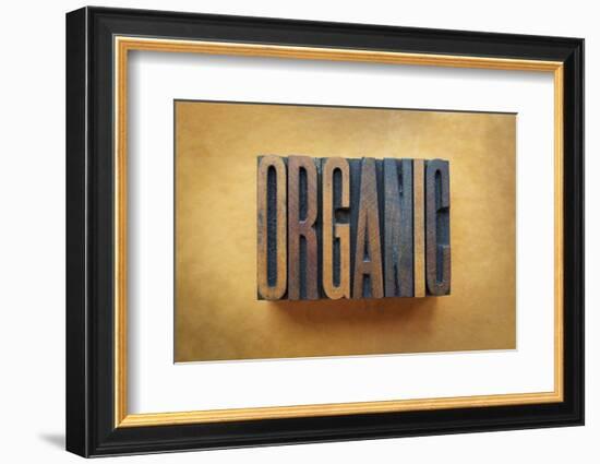 Organic-enterlinedesign-Framed Photographic Print