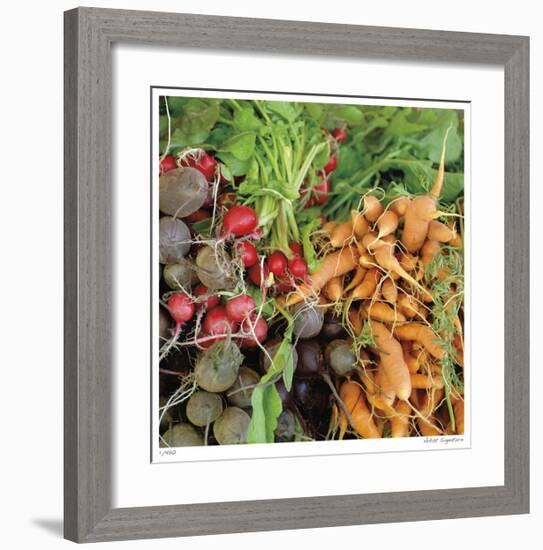 Organics-Stacy Bass-Framed Giclee Print