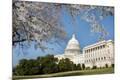 Premium Photographic Print