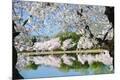 Premium Photographic Print