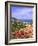 Orient Bay, St. Martin, Caribbean-Michael DeFreitas-Framed Photographic Print