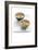 Orient Cusine-Fabio Petroni-Framed Photographic Print