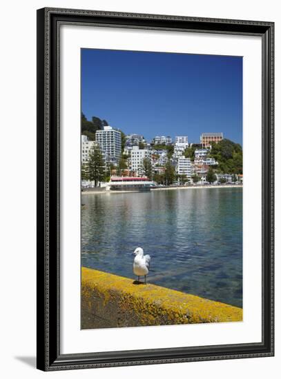 Oriental Bay, Wellington, North Island, New Zealand-David Wall-Framed Photographic Print