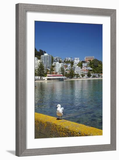 Oriental Bay, Wellington, North Island, New Zealand-David Wall-Framed Photographic Print