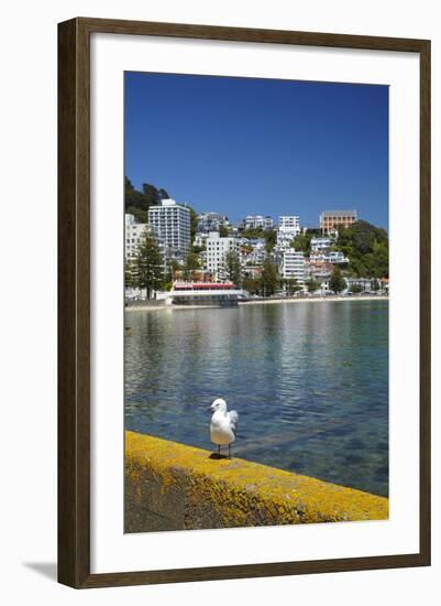 Oriental Bay, Wellington, North Island, New Zealand-David Wall-Framed Photographic Print