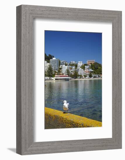 Oriental Bay, Wellington, North Island, New Zealand-David Wall-Framed Photographic Print