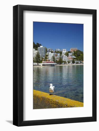 Oriental Bay, Wellington, North Island, New Zealand-David Wall-Framed Photographic Print