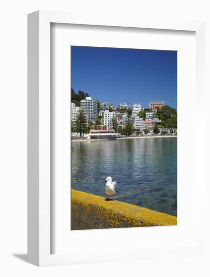 Oriental Bay, Wellington, North Island, New Zealand-David Wall-Framed Photographic Print