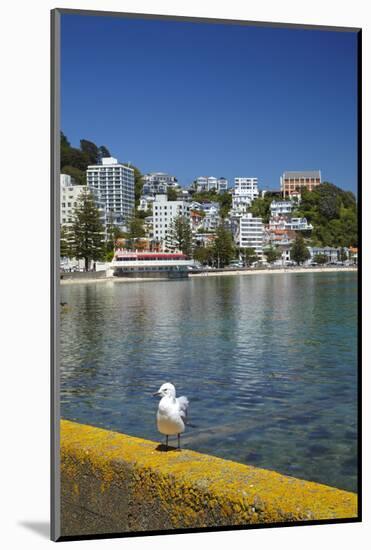 Oriental Bay, Wellington, North Island, New Zealand-David Wall-Mounted Photographic Print