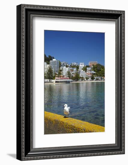 Oriental Bay, Wellington, North Island, New Zealand-David Wall-Framed Photographic Print