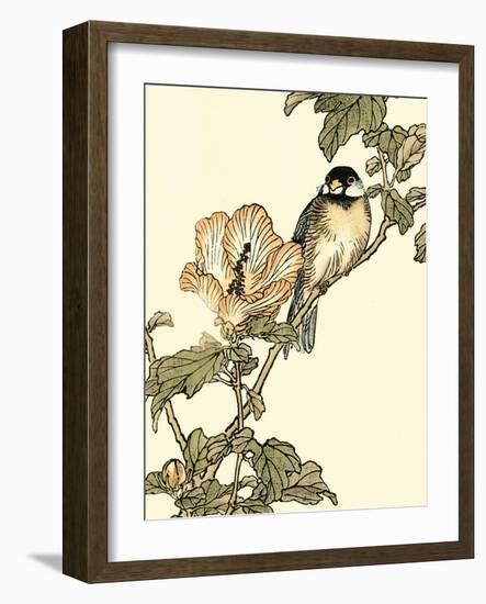 Oriental Bird on Branch I-Vision Studio-Framed Art Print