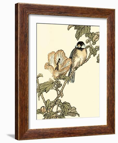 Oriental Bird on Branch I-Vision Studio-Framed Art Print