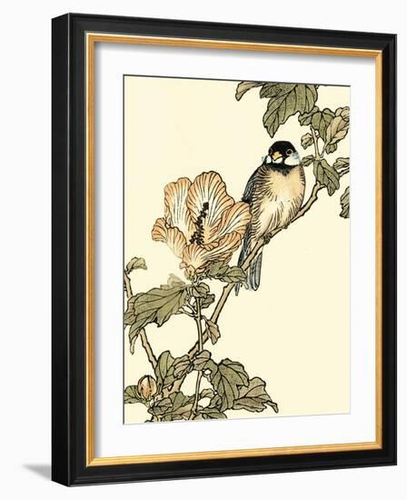 Oriental Bird on Branch I-Vision Studio-Framed Art Print