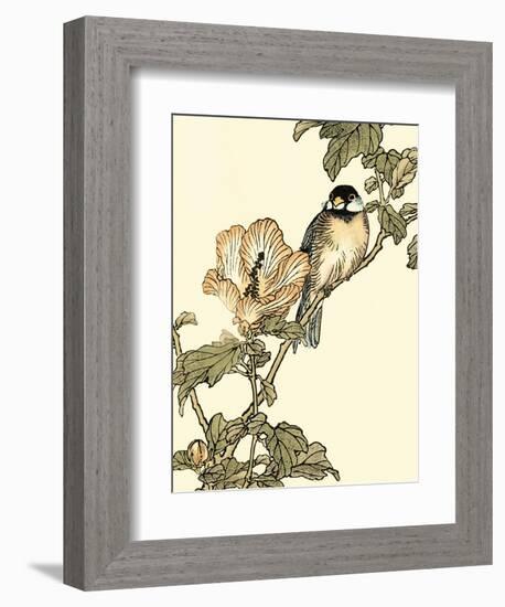 Oriental Bird on Branch I-Vision Studio-Framed Art Print