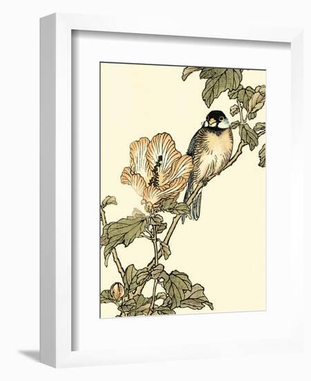 Oriental Bird on Branch I-Vision Studio-Framed Art Print